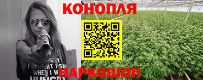 PSILOCYBIN Нальчик