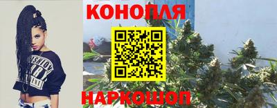 PSILOCYBIN Нальчик