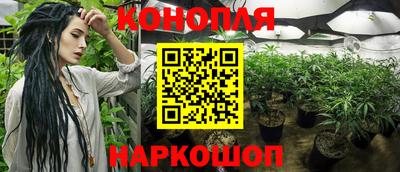 таблы Новокубанск