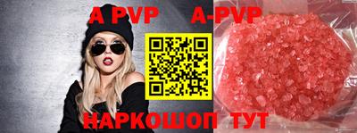 скорость Новозыбков